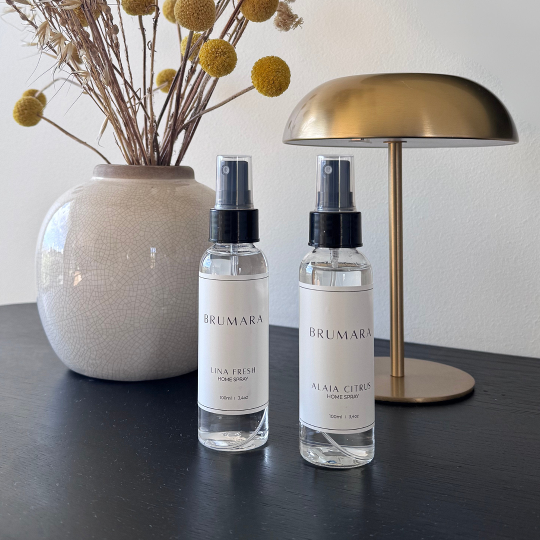 HOME SPRAY 100 ML LINA FRESH
