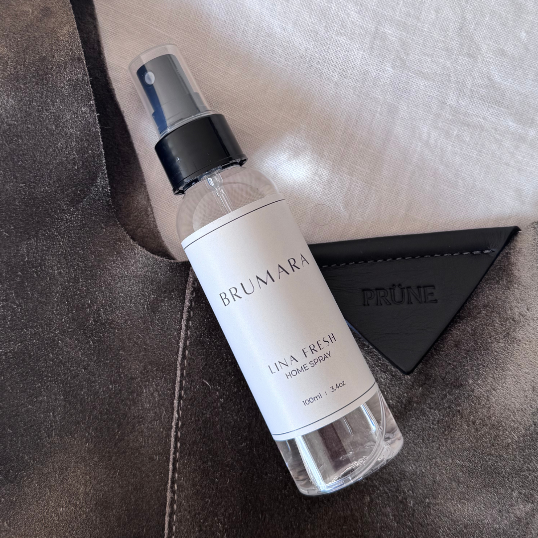 HOME SPRAY 100 ML LINA FRESH